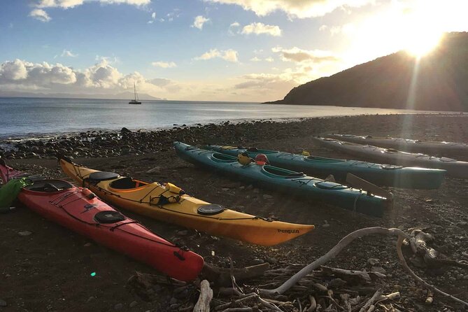 Sunrise Sea Kayaking Tour in Auckland - Participant Information