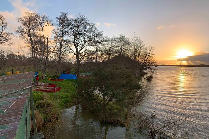 Sunrise Sea Kayaking Tour in Auckland - Pricing and Cancellation Policy
