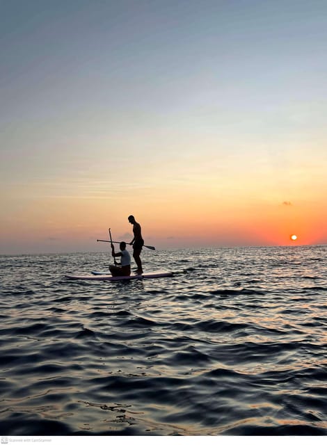 Sunrise Stand up Paddle Board and See Turtles - Key Points