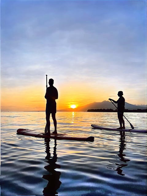 Sunrise Stand up Paddle Board and See Turtles - Clear Water Visibility