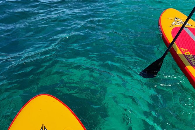Sunrise SUP Tour & Breakfast - Private Stand up Paddle Boarding Experience - Customer Reviews