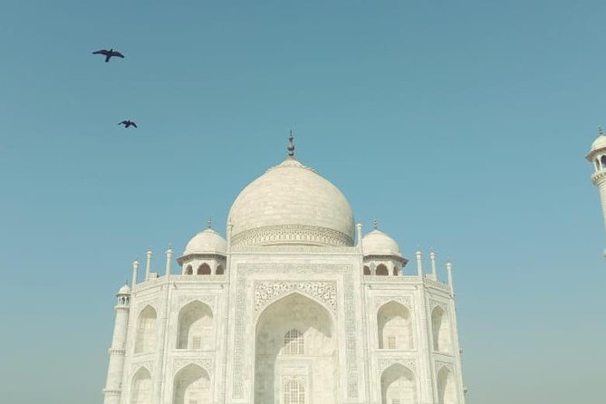 Sunrise Taj Mahal Private Tour From Delhi to Agra by Car - Meeting and Pickup Details