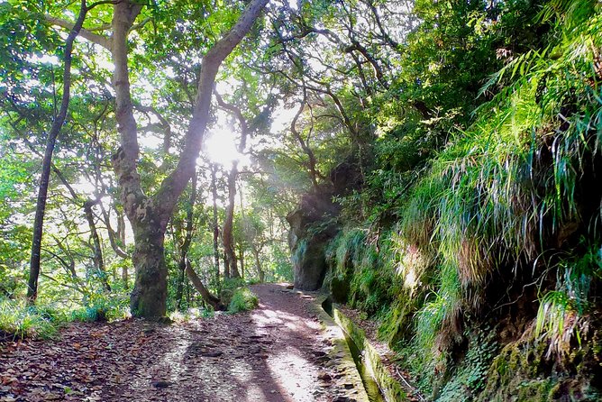 Sunrise Tour @ Pico Do Areiro | Half Day 4x4 Tour - Cancellation Policy and Logistics