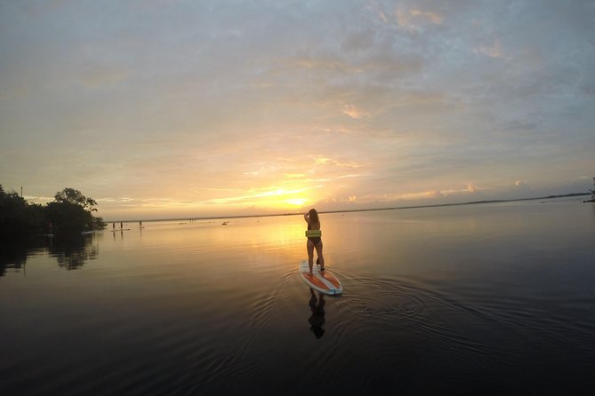 Sunrise Tour (Stand Up Paddle or Kayak) - Pricing and Booking