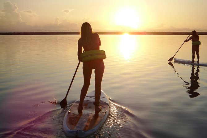 Sunrise Tour (Stand Up Paddle or Kayak) - Tour Highlights