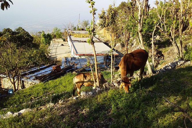 Sunrise View Trek in Rishikesh - Capturing the Panoramic Views