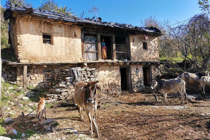Sunrise View Trek in Rishikesh - Safety Considerations