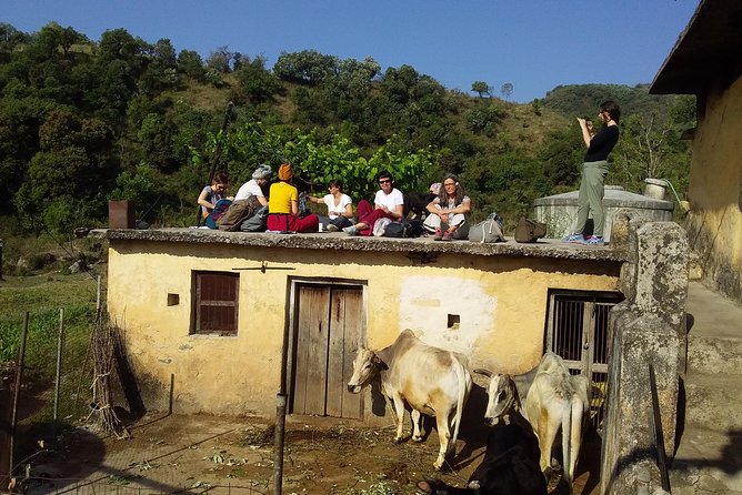 Sunrise View Trek in Rishikesh - Pricing and Inclusions