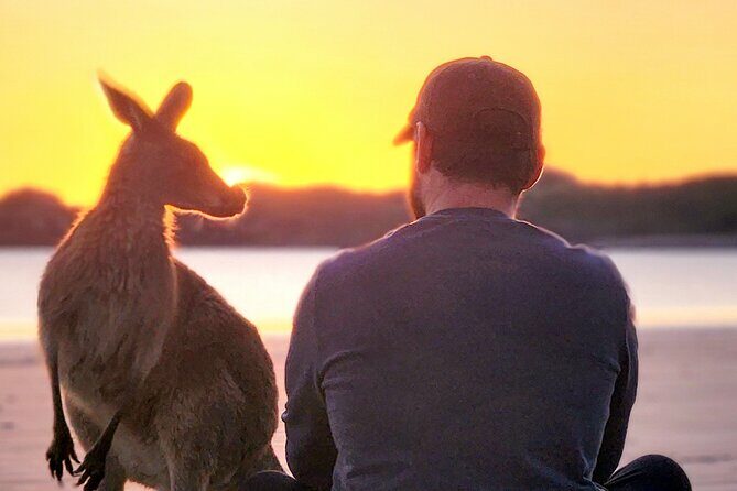 Sunrise with the kangaroos and wallabies - Practical Details and What to Expect