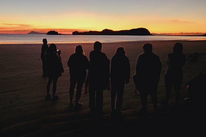 Sunrise with the kangaroos and wallabies - Practical Details