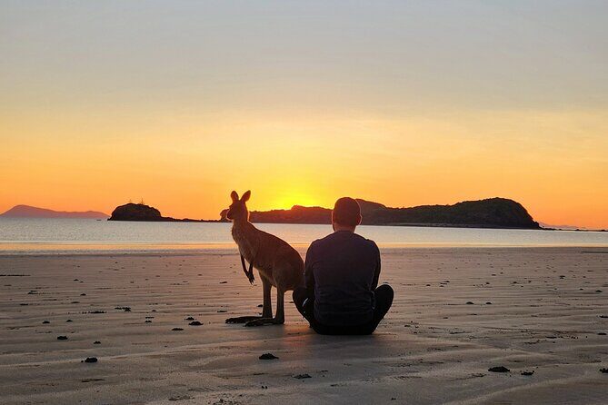 Sunrise with the kangaroos and wallabies - FAQ