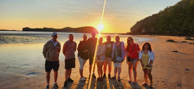 Sunrise with the Kangaroos & Wallabies - Airlie Beach - An Authentic Whiff of Australian Nature at Dawn