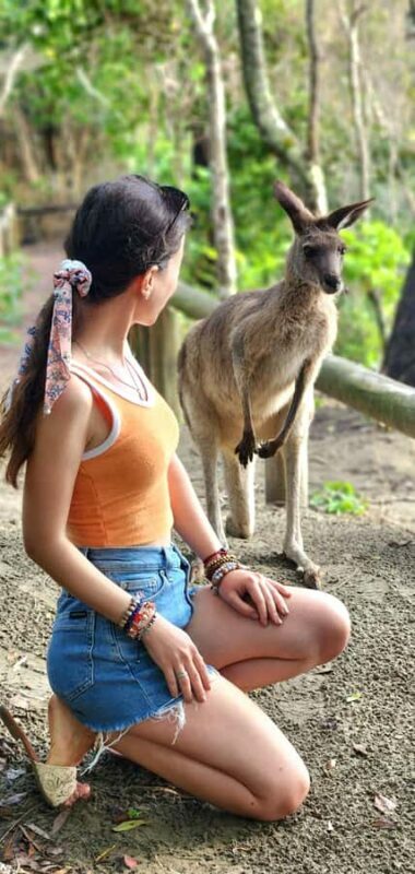 Sunrise with the Kangaroos & Wallabies - Airlie Beach - The Bush Walk and Lookout Views