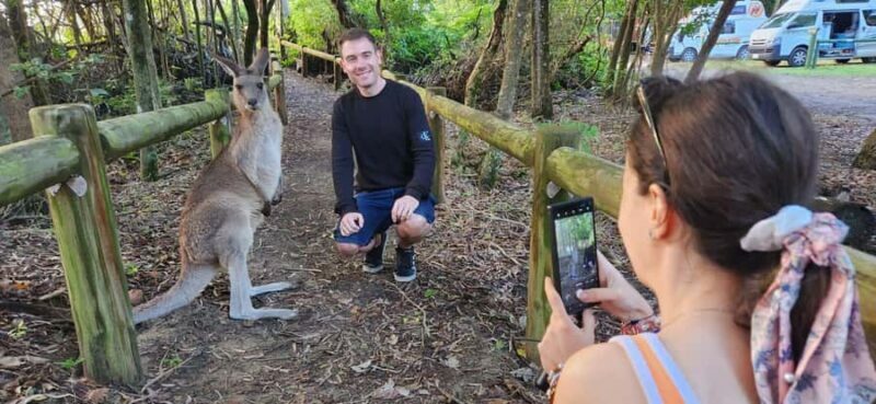 Sunrise with the Kangaroos & Wallabies - Airlie Beach - Practical Details and Considerations