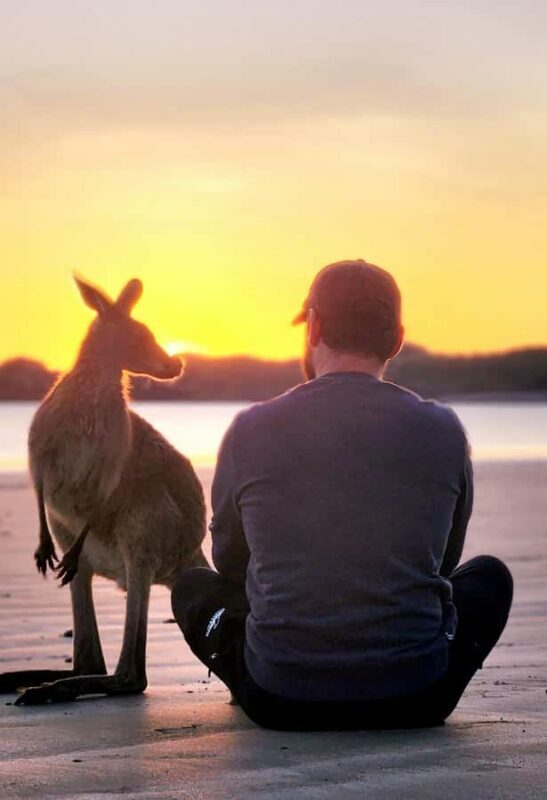 Sunrise with the Kangaroos & Wallabies - Airlie Beach - Final Thoughts: Is It Worth It?