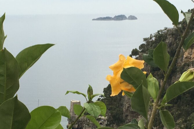 Sunset Amalfi Coast - Booking and Cancellation Details
