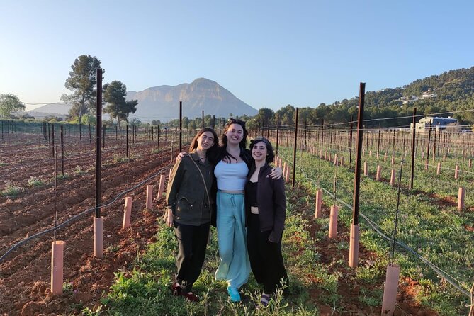 Sunset Among Vineyards With Tasting in Alicante (Min 6-12 People) - Inclusions