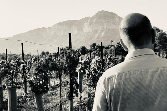 Sunset Among Vineyards With Tasting in Alicante (Min 6-12 People) - Participant Requirements