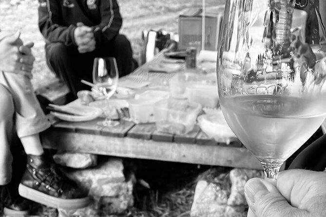 Sunset Among Vineyards With Tasting in Alicante (Min 6-12 People) - Reviews