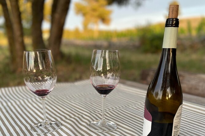 Sunset Among Vineyards With Tasting in Alicante (Min 6-12 People) - Experience Highlights