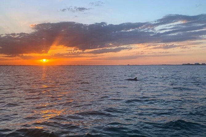 Sunset and Dolphin Cruise Around Fort Myers Beach - Inclusions and Amenities