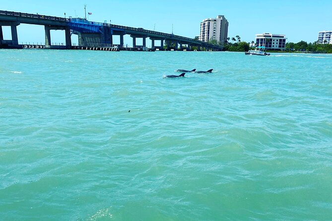 Sunset and Dolphin Cruise Around Fort Myers Beach - Cancellation and Refund Policy
