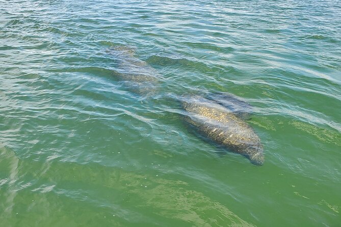 Sunset and Dolphin Tour, Fort Myers Beach and Sanibel Lighthouse - Inclusions