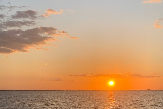 Sunset and Dolphin Tour, Fort Myers Beach and Sanibel Lighthouse - Highlights of the Tour