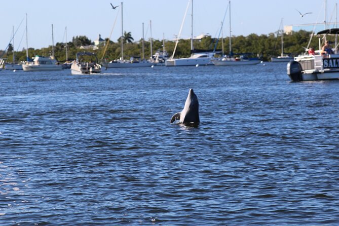 Sunset and Dolphin Tour, Fort Myers Beach and Sanibel Lighthouse - Experiencing the Tour