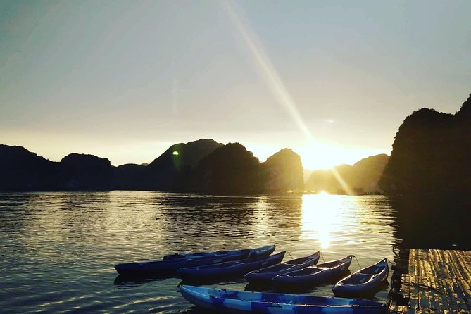 Sunset and Evening With Glowing Plankton With Cat Ba Local Adventure - Observation of Local Fishermens Dinner