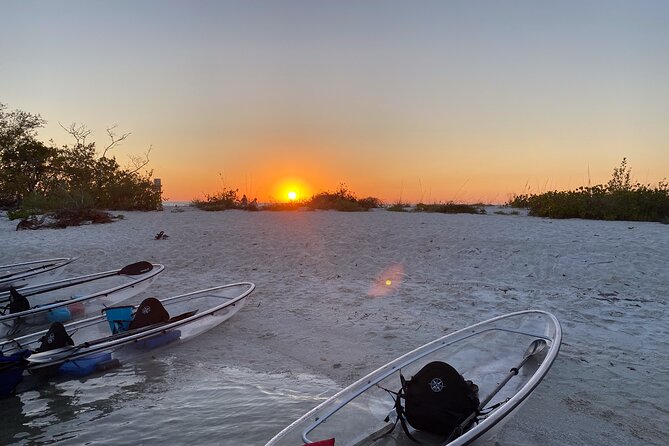 Sunset and Glow Clear Kayak Tour in North Naples - Included Amenities