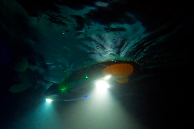 Sunset and Glow Clear Kayak Tour in Olowalu - Customer Feedback