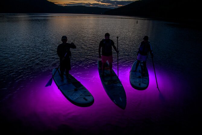 Sunset and Light up Stand-Up Paddle With a Certified Guide - Certified Guide for the Adventure