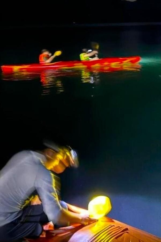 Sunset and Magical Bioluminescence Plankton Night Kayak Tour - Key Points