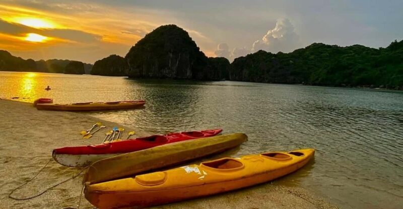 Sunset and Magical Bioluminescence Plankton Night Kayak Tour - Activities and Highlights