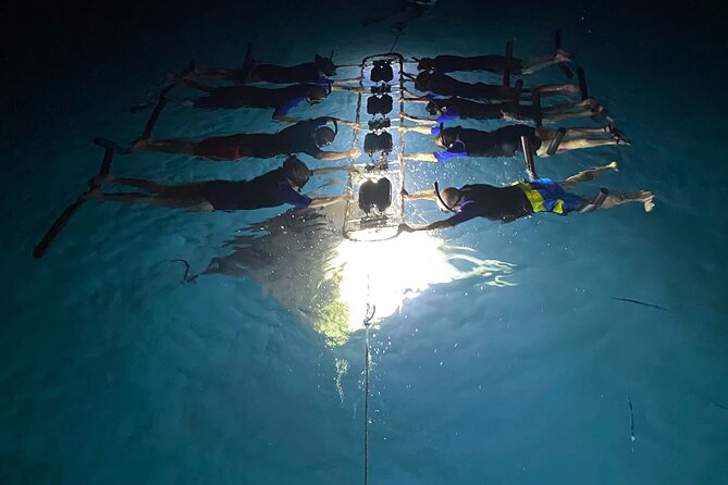 Sunset and Manta Ray Snorkel Adventure - What to Expect
