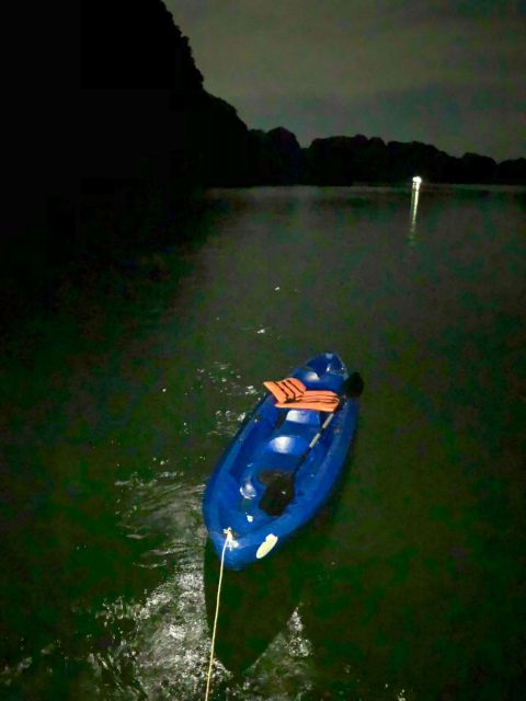 Sunset and Plankton Bio Luminescent Night Kayak - Swimming and Bioluminescent Plankton