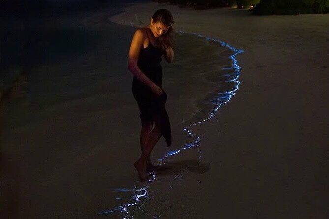 Sunset and Plankton Bioluminescent Night Kayak Lan Ha Bay - Key Points