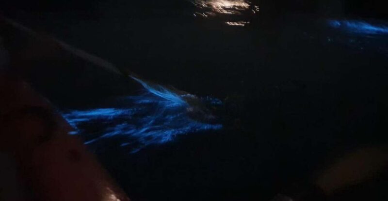 Sunset and Plankton Bioluminescent Night Kayaking - Key Points