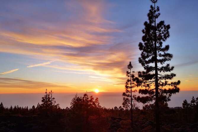 Sunset and Stargazing From Teide - Traveler Feedback and Recommendations