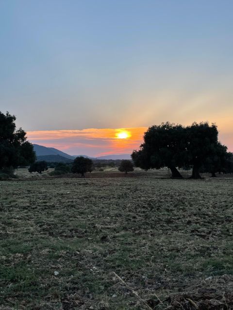 Sunset Aperitif & Ebike Tour in Olive Trees Monumental Park - Experience Highlights