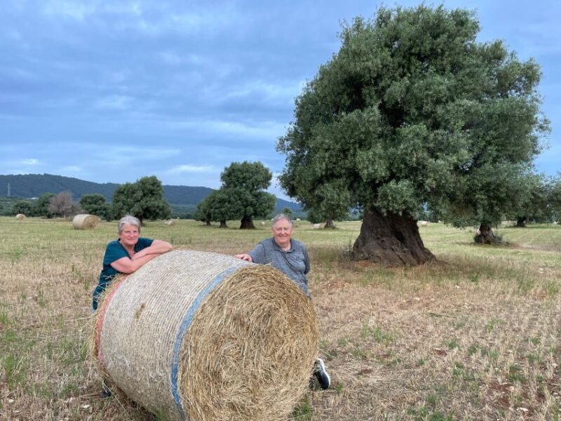 Sunset Aperitif & Ebike Tour in Olive Trees Monumental Park - Inclusions