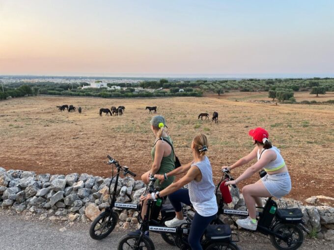 Sunset Aperitif & Ebike Tour in Olive Trees Monumental Park - Unique Dolmen in Montalbano