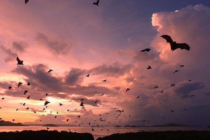 Sunset at Komodo Island - Meeting and Pickup Information