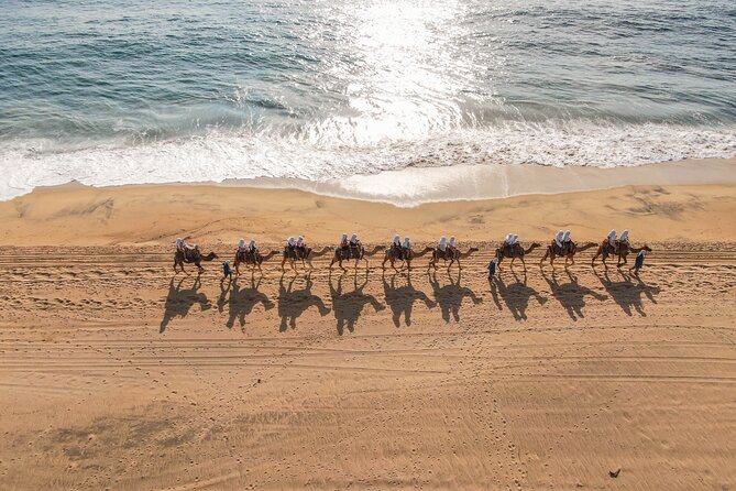 Sunset Beach Camel Ride With Mexican Buffet and Tequila Tasting - Inclusions and Experience