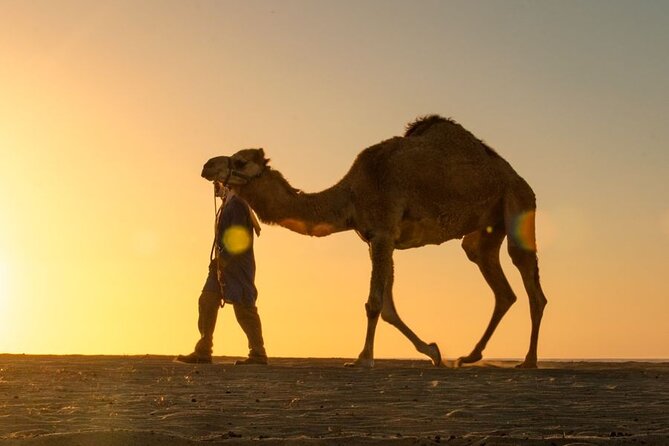 Sunset Beach Camel Ride With Mexican Buffet and Tequila Tasting - Health and Safety Requirements