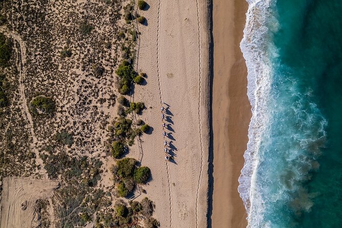 Sunset Beach Camel Ride With Mexican Buffet and Tequila Tasting - Booking and Confirmation Details