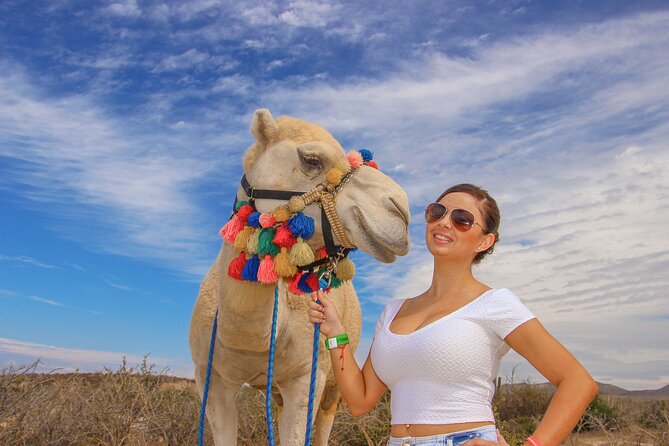 Sunset Beach Camel Ride With Mexican Buffet and Tequila Tasting - Savory Mexican Buffet Lunch