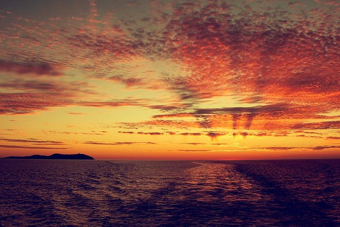 Sunset Beach Hopping Cruise, Cala Comte and Cala Bassa, SUP and Snorkelling - Inclusions and Amenities