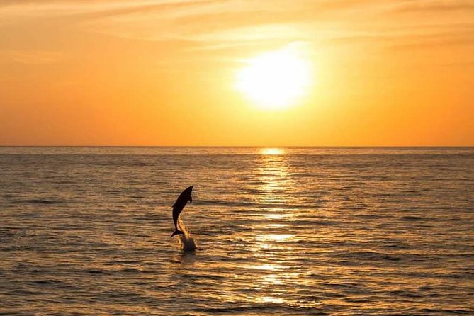 Sunset Beach Hopping Cruise, Cala Comte and Cala Bassa, SUP and Snorkelling - Cancellation Policy